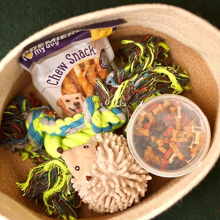 Baguettes * Oplotnica