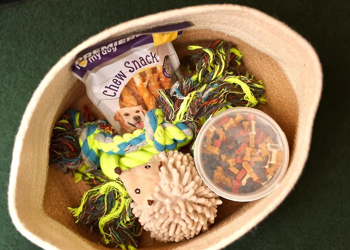 Baguettes * Oplotnica