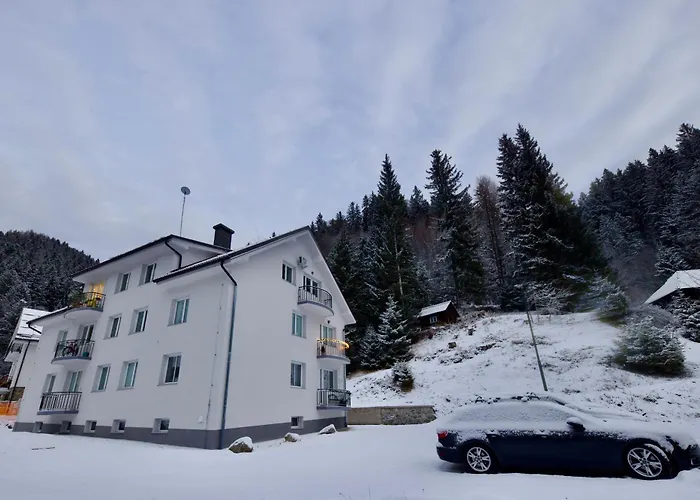 Baguettes * Oplotnica