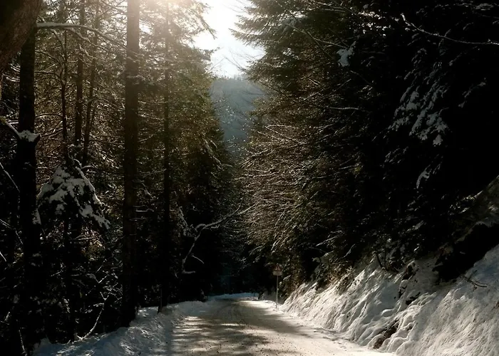 Baguettes 아파트 Oplotnica